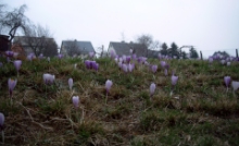 © by Daniel Büschel 
 www.erzgebirgsbuch.de